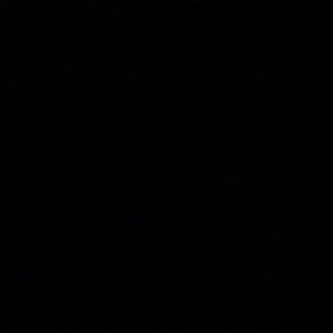 Meet your Posher, Simone